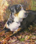 Portrait of Roscoe, the Dog